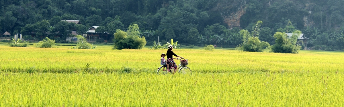 Mai chau 