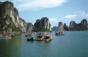 Ha Long 1 day - luxury phoenix cruise